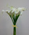40cm Cala Lily Bundle Cream