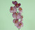29.5" Phalaenopsis Hot Pink