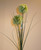 68cm Allium x2 Green