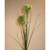 68cm Allium x2 Green