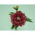 48cm Peony x2 w/Gem Hot Pink