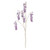 Iridescent Citrus Flower Purple133cm