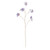 Iridescent Edelweiss Purple 101cm