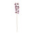 Cymbidium Spray Purple 93cm