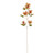 Caper Flower Orange 109cm