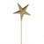 Star Glitter Pick Gold 55Cm