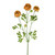 Ranunculus Spray Orange 65Cm