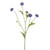 Aster Spray Purple 64Cm