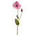 Pretty Poppy Pink 67Cm