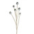 Poppy Seed Pod Spray Grey 79Cm