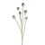 Poppy Seed Pod Spray Grey 79Cm