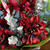 Amaryllis Red