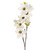 Magnolia Spray Cream