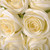 Eternity Rose Centre Piece Crm