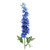 Delphinium Blue 86Cm