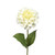 Zinnia Cream 46Cm