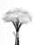 Bundle Rose Short Stem Wht