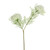 Elderflower Spray Cream 57Cm
