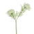 Elderflower Spray Cream 57Cm
