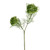 Elderflower Spray Yel Grn 57Cm