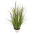 Potted Grass And Cream Cattail 84Cm