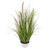 Potted Grass And Cream Cattail 84Cm