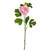 Skye Ranunculus Spray Pink 40Cm