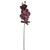 Phalaenopsis Spray Claret 66Cm Hqn