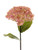 Premier Hydrangea Pink 68Cm