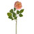QUEEN ROSE SINGLE STEM PEACH 70CM