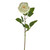 QUEEN ROSE SINGLE STEM LIGHT GREEN 70CM