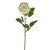 QUEEN ROSE SINGLE STEM LIGHT GREEN 70CM