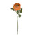 SORBET RANUNCULUS STEM ORANGE 44CM