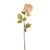 Artificial Etching Rose Stem Vintage Cream 64cm