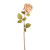 Artificial Etching Rose Stem Vintage Cream 64cm