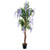 Potted Wisteria Tree Blue 152Cm