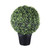 Potted Boxwood Ball 38Cm