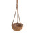 Hanging Basket With Liner 17cm