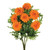 Marigold Bush Orange