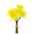 Daffodil Bundle Traditional