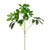 Umbrella Leaf 61Cm