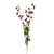 Sweetpea Spray Pink 119Cm
