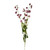 Sweetpea Spray Pink 119Cm