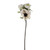 Sophia Anemone Spray 46Cm