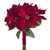 Poinsettia Bundle 28Cm