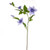 Elsa Clematis Lilac 79Cm