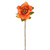 Hellebore Stem Orange 49Cm