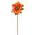 Hellebore Stem Orange 49Cm