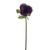 Olivia Anemone Stem Purple 38Cm