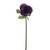 Olivia Anemone Stem Purple 38Cm